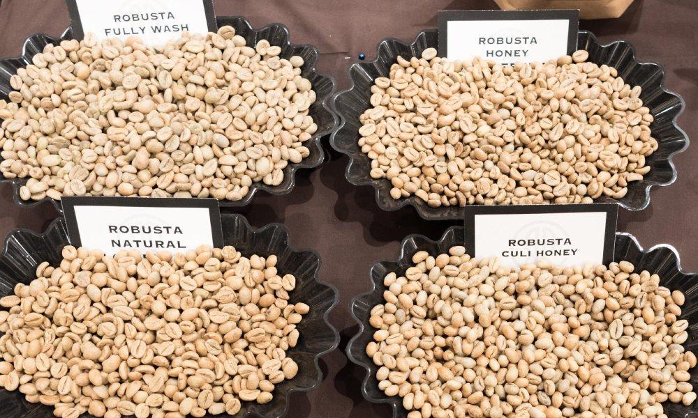 fine robusta coffee beans